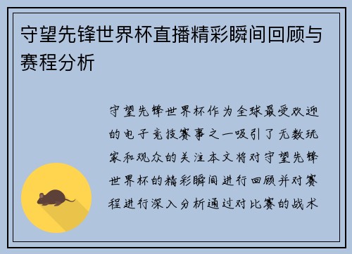 守望先锋世界杯直播精彩瞬间回顾与赛程分析